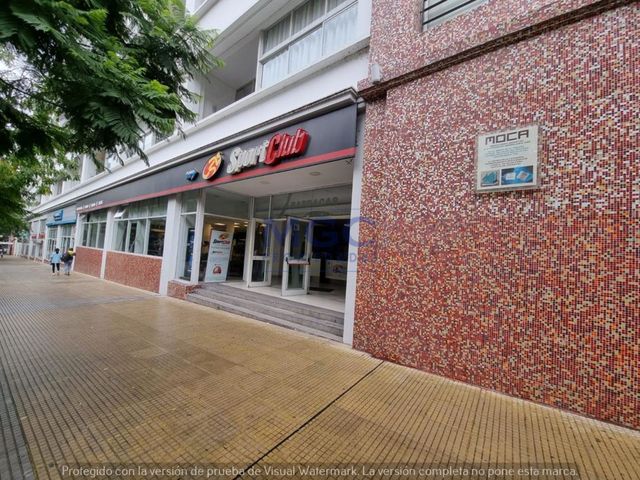 place photo 54