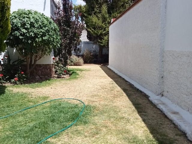 place photo 26