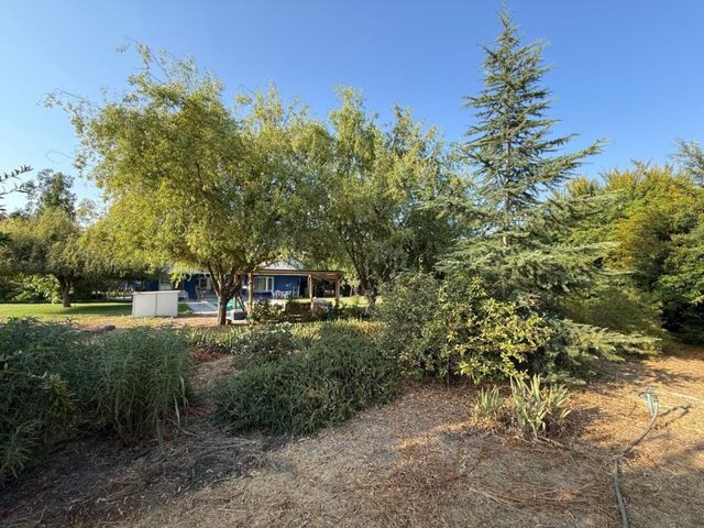 place photo 18