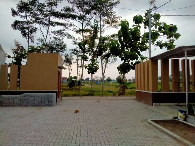 place photo 4