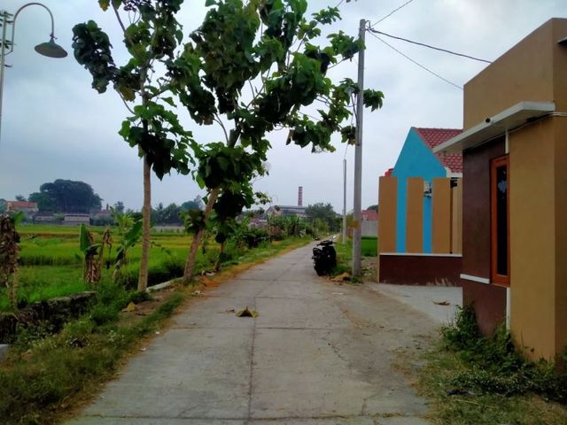 place photo 3