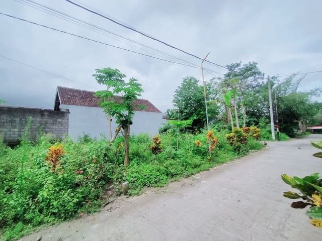 place photo 3