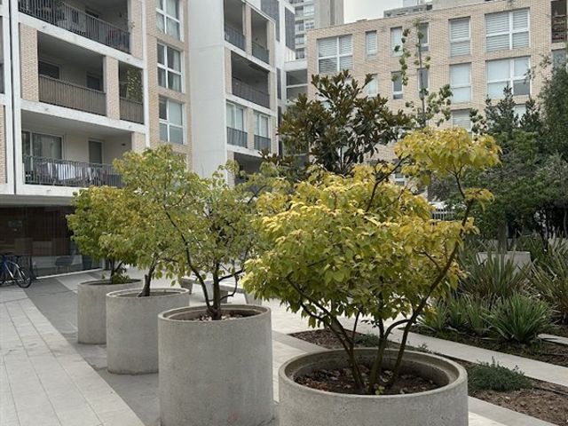 place photo 28