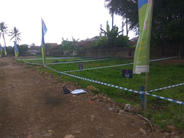 place photo 10