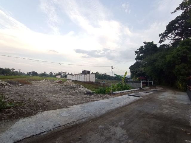 place photo 4