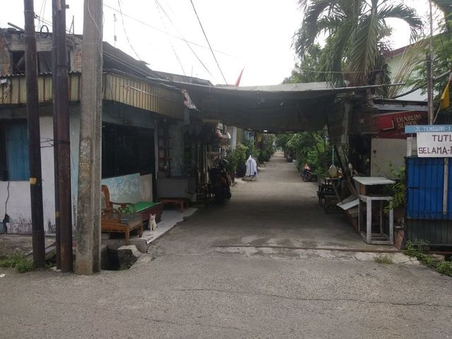 place photo 5