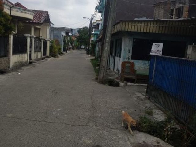 place photo 4