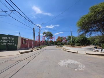 place photo 16