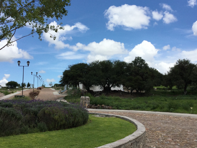 place photo 15