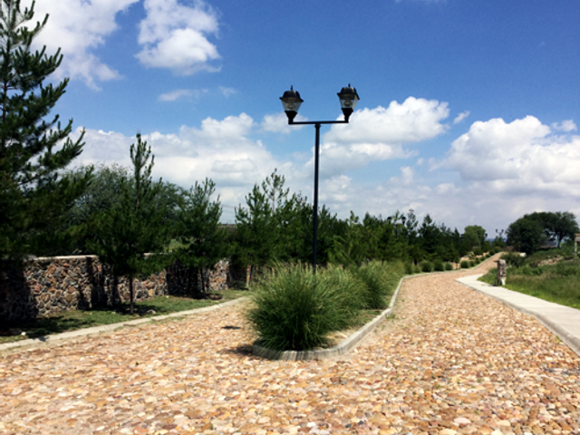 place photo 14