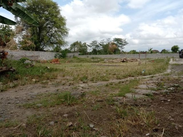 place photo 3