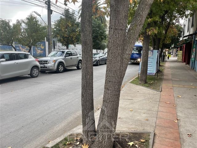 place photo 40