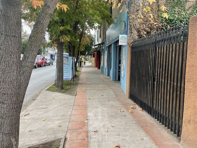 place photo 39
