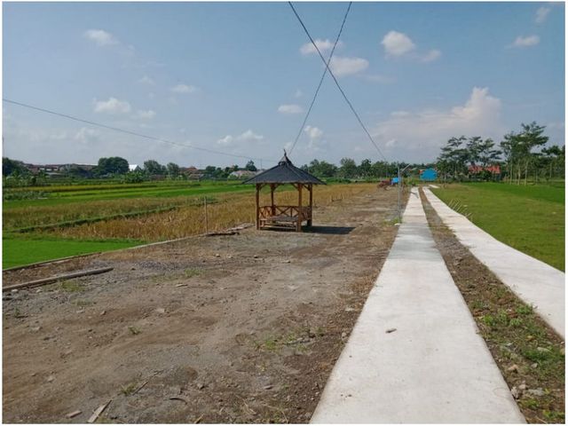 place photo 2