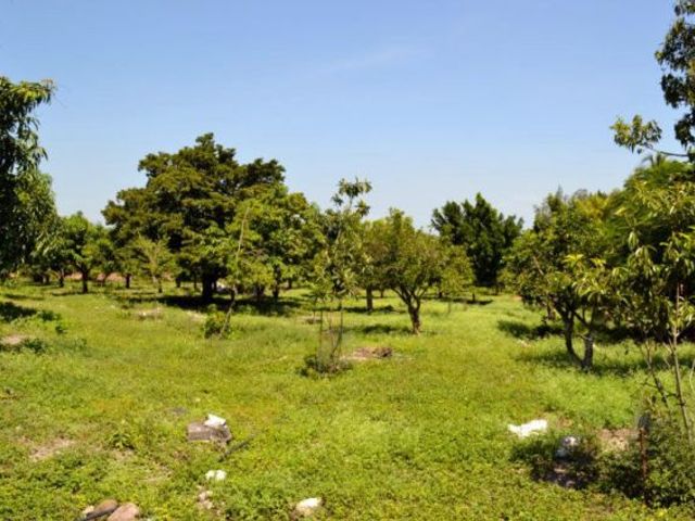 place photo 19