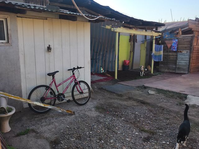 place photo 16