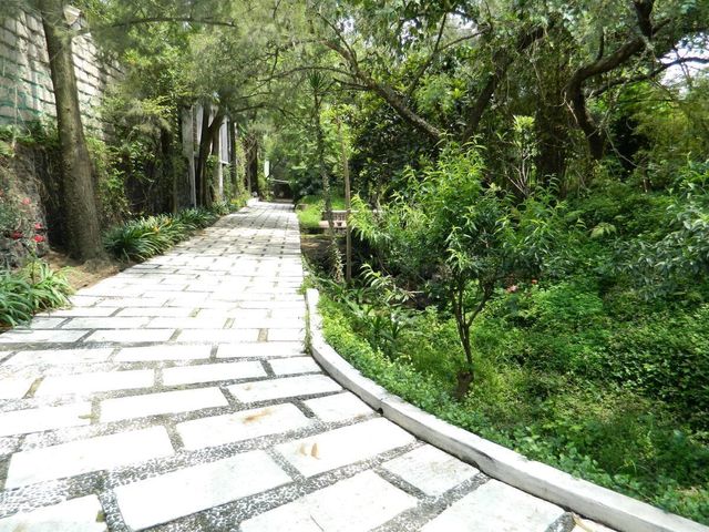 place photo 12