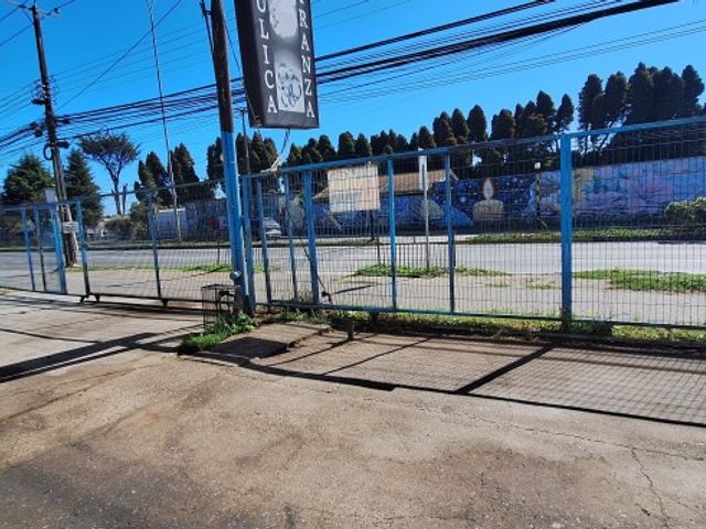 place photo 12