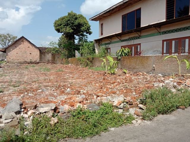 place photo 6