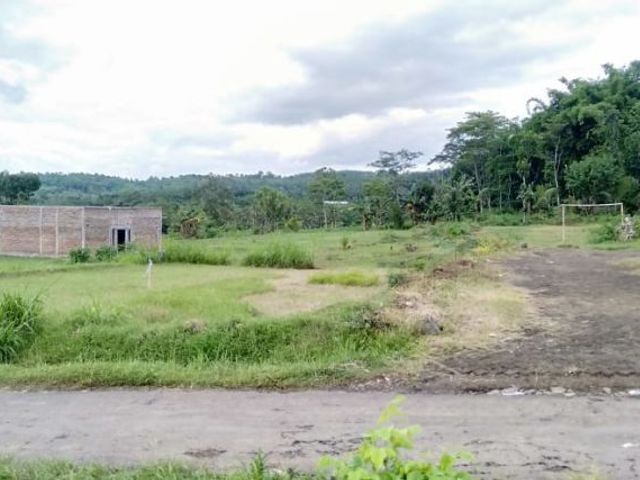 place photo 7
