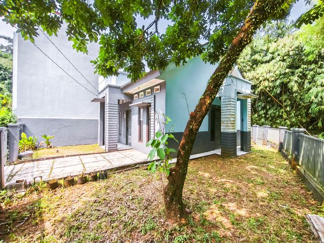 place photo 20