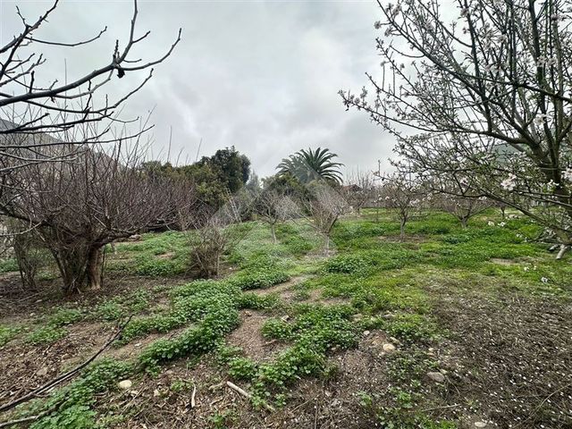 place photo 47