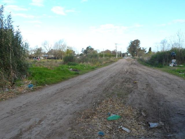 place photo 26