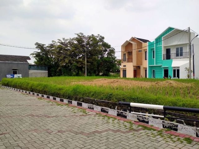 place photo 7