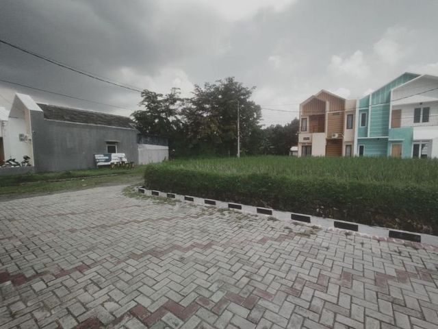 place photo 12
