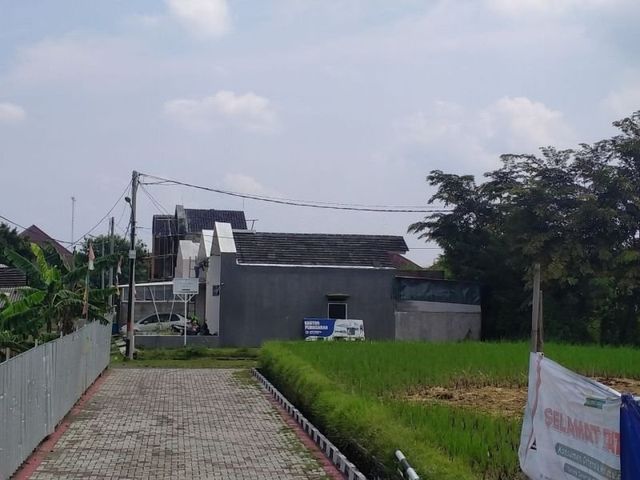 place photo 14