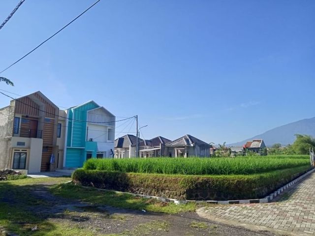 place photo 14
