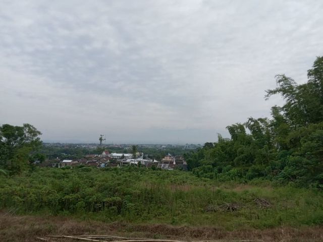 place photo 7