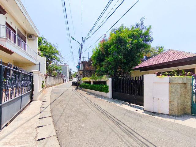 place photo 16