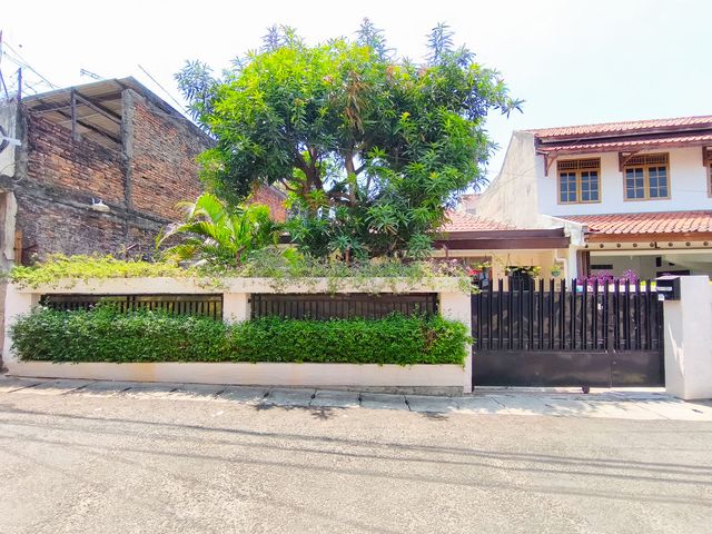 place photo 17