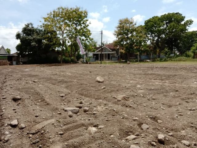 place photo 2