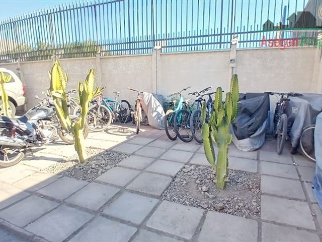 place photo 28