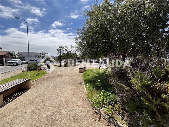 place photo 63