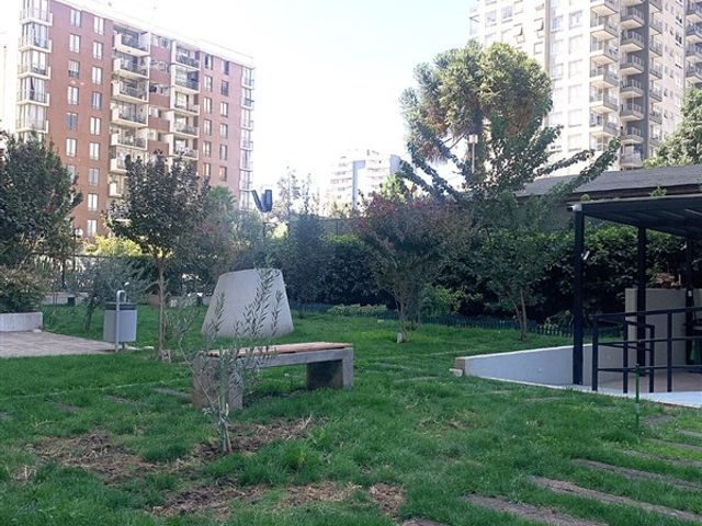 place photo 22