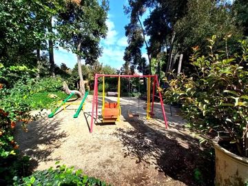 place photo 45