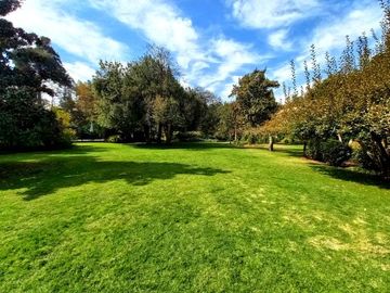 place photo 39
