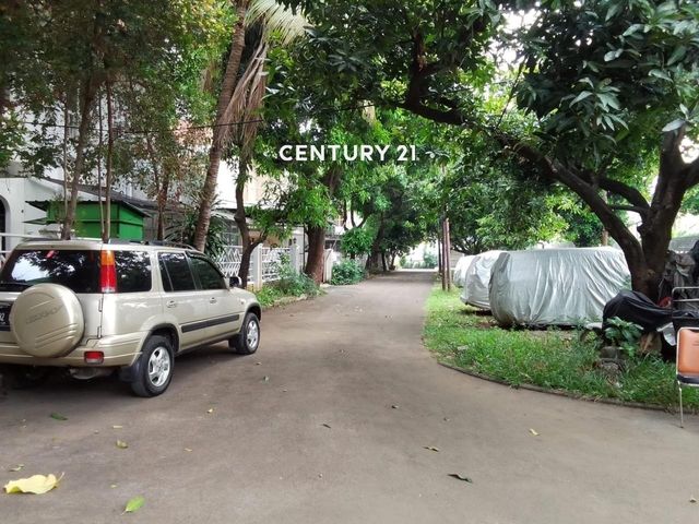 place photo 6