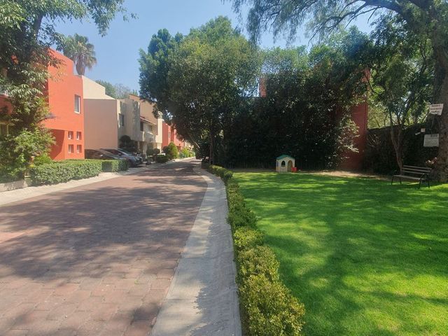 place photo 24