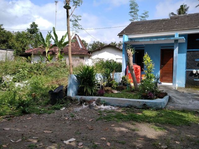 place photo 3