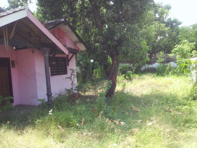 place photo 2