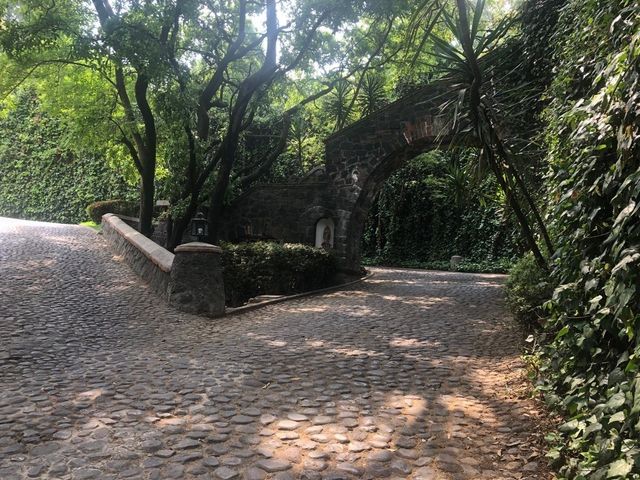 place photo 32