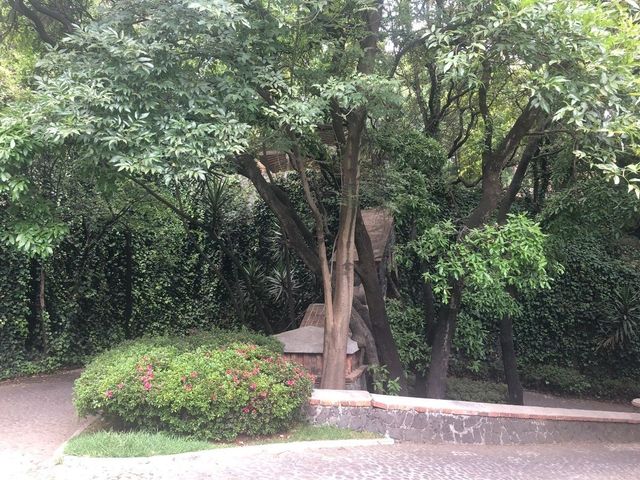 place photo 30