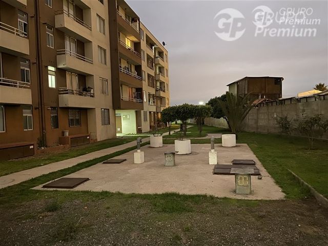 place photo 25