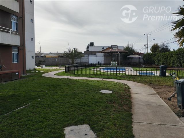 place photo 29