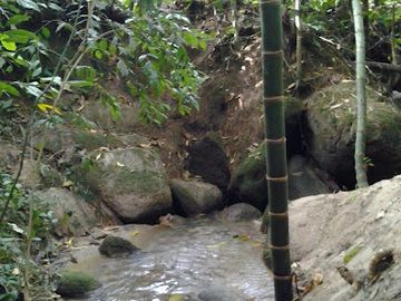 place photo 15