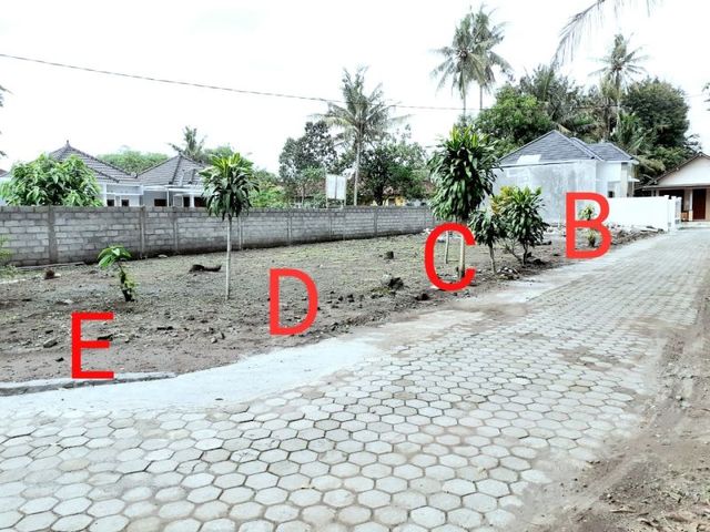 place photo 5